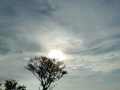 你是我的"救星天使"翻译家